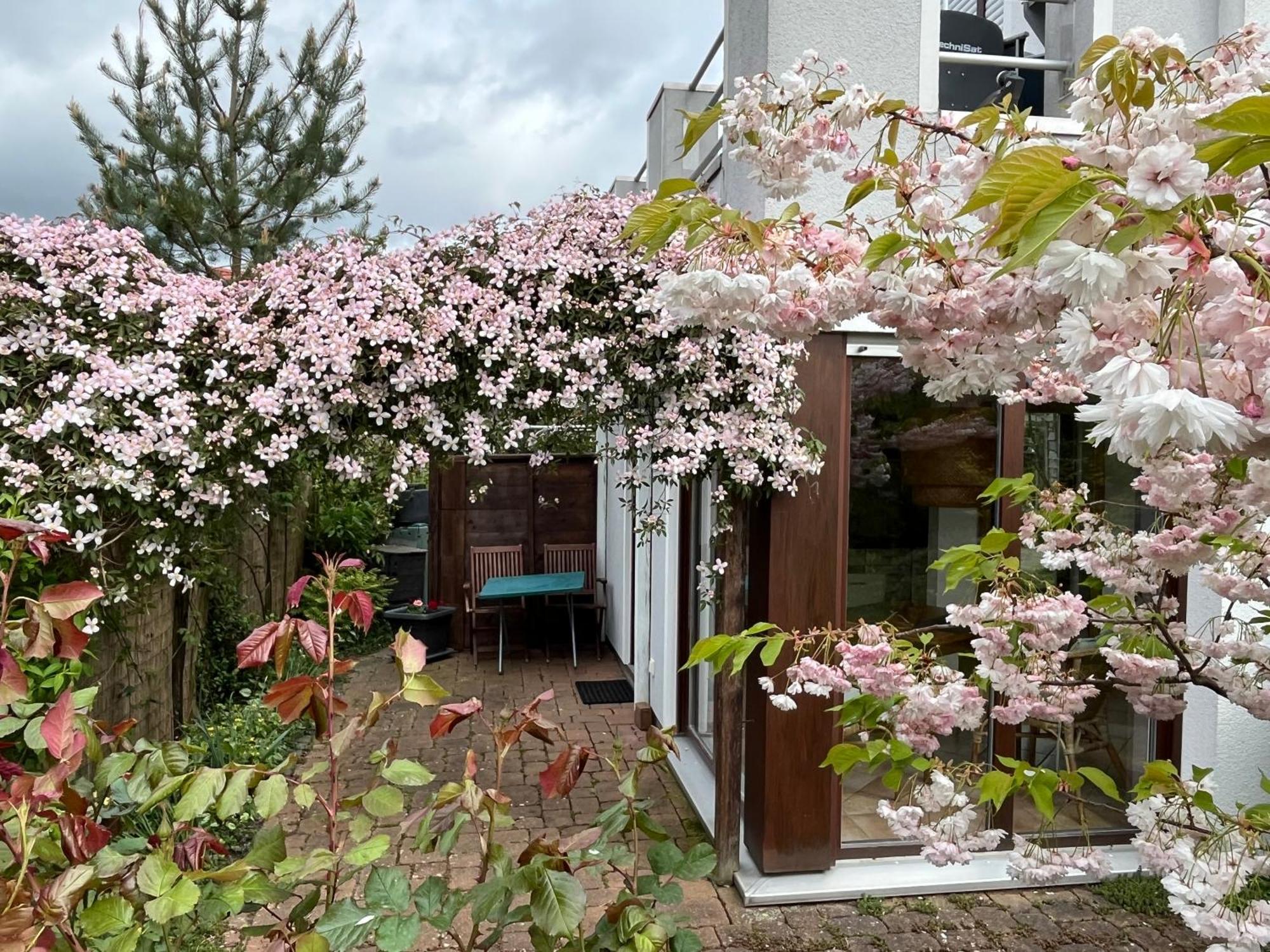 Ferienwohnung Laendlichmodern, Barrierefrei Bad Nenndorf Exteriör bild